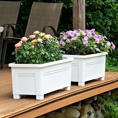Plastic Pots 2 12 400x400