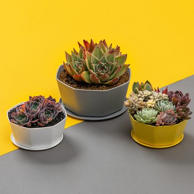 Plastic Pots 2 2 400x400