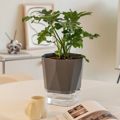 Plastic Pots 2 3 400x400