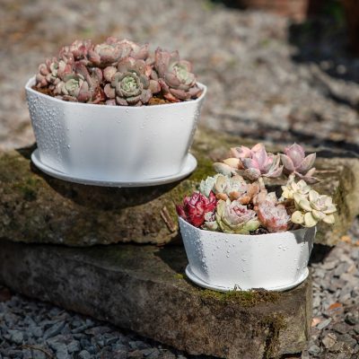 Plastic Pots 2 4 400x400