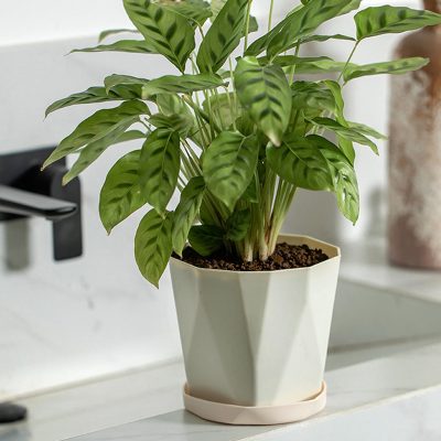 Plastic Pots 3 1 400x400