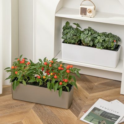 Plastic Pots 3 14 400x400
