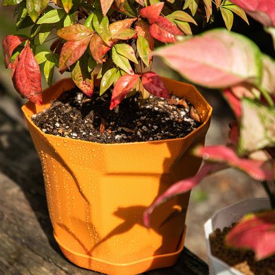 Plastic Pots 3 6 400x400