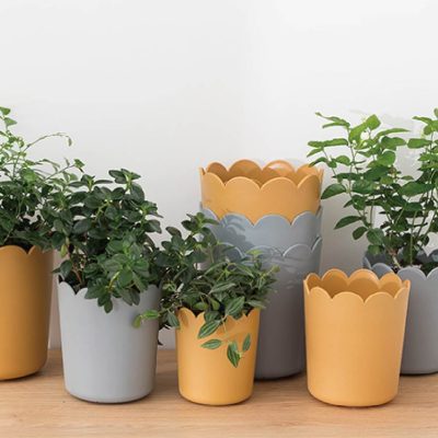 Plastic Pots 4 10 400x400