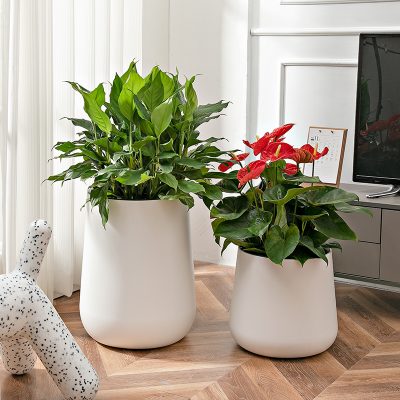 Plastic Pots 4 16 400x400