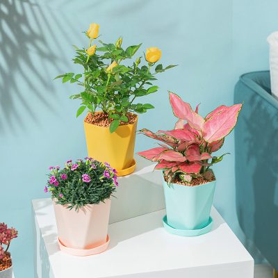 Plastic Pots 4 3 400x400