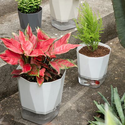 Plastic Pots 4 4 400x400