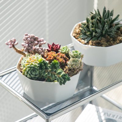 Plastic Pots 4 5 400x400