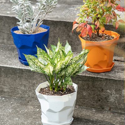 Plastic Pots 4 7 400x400