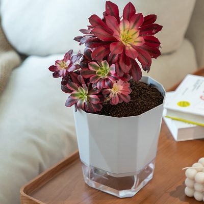 Plastic Pots 400x400