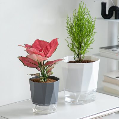 Plastic Pots 5 3 400x400