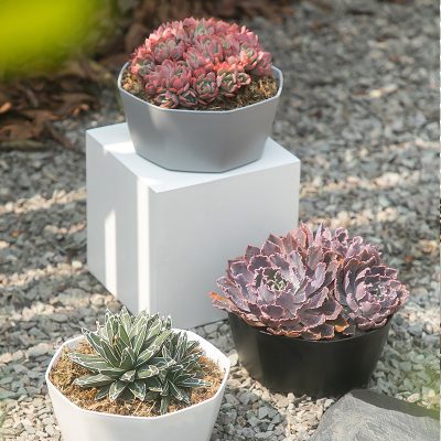 Plastic Pots 5 4 400x400