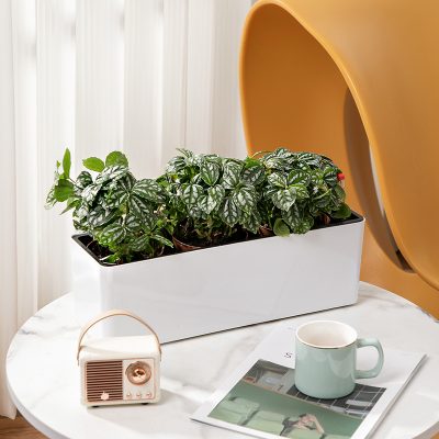 Plastic Pots 6 13 400x400