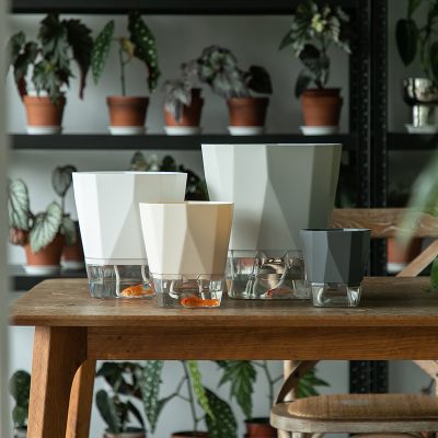 Plastic Pots 6 2 400x400