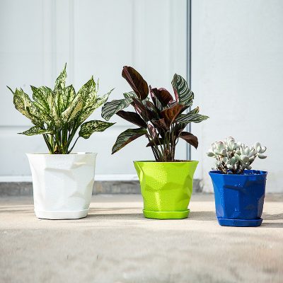 Plastic Pots 6 5 400x400
