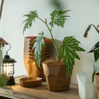 Plastic Pots 6 6 400x400