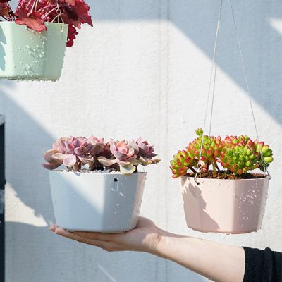 Plastic Pots 6 7 400x400