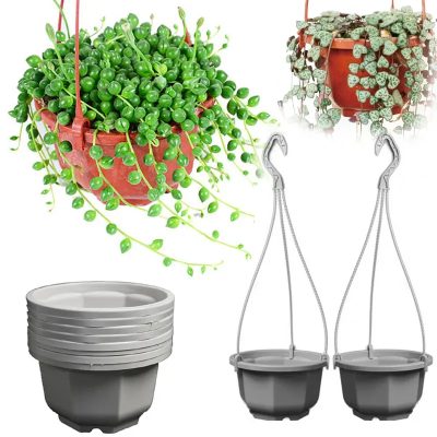 Plastic Hanging Baskets 5 1 400x400