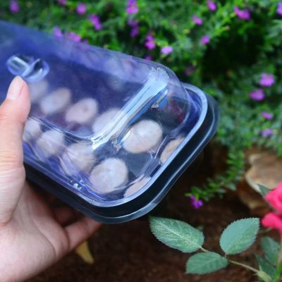Plastic Nursery Pots 1 11 400x400