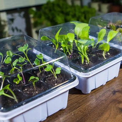 Plastic Nursery Pots 1 25 400x400