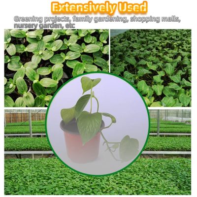 Plastic Nursery Pots 1 28 400x400