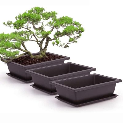 Plastic Nursery Pots 2 24 400x400