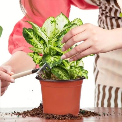 Plastic Nursery Pots 3 23 400x400