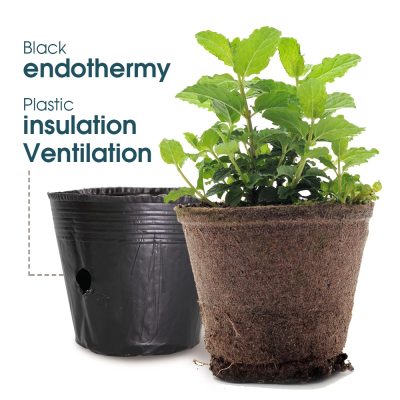 Plastic Nursery Pots 3 3 400x400