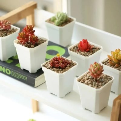 Plastic Nursery Pots 5 20 400x400
