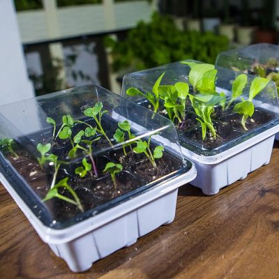 Plastic Nursery Pots 5 23 400x400