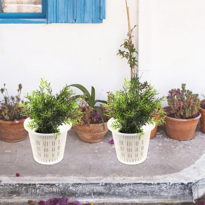 Plastic Nursery Pots 6 13 400x400