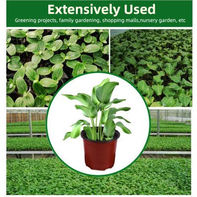 Plastic Nursery Pots 6 25 400x400