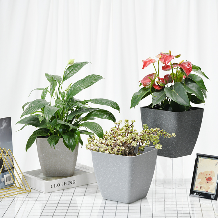 Plastic Pot 1 2