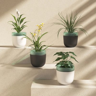Plastic Pot 1 20 400x400