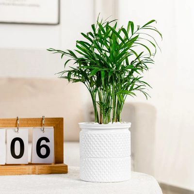 Plastic Pot 1 27 400x400