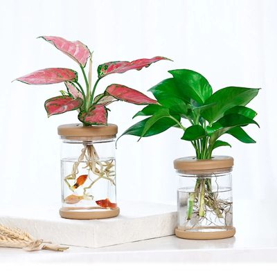 Plastic Pot 2 1 400x400