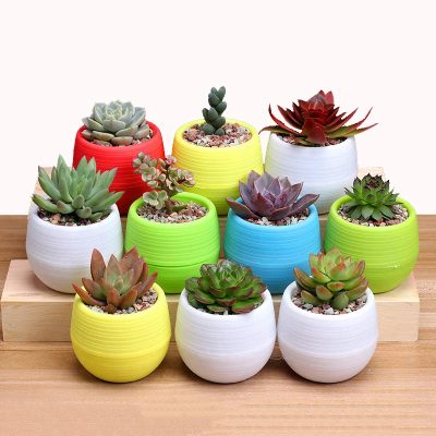 Plastic Pot 2 23 400x400