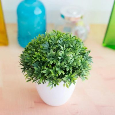 Plastic Pot 2 24 400x400