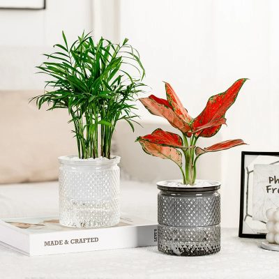 Plastic Pot 2 25 400x400