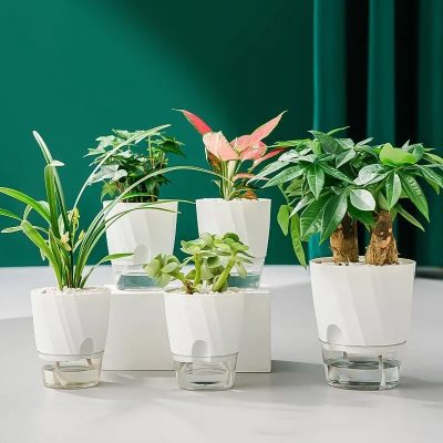 Plastic Pot 2 4 400x400