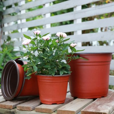 Plastic Pot 2 5 400x400