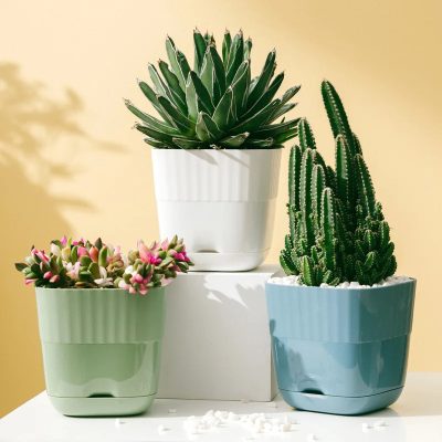 Plastic Pot 3 19 400x400