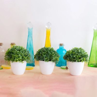 Plastic Pot 3 26 400x400