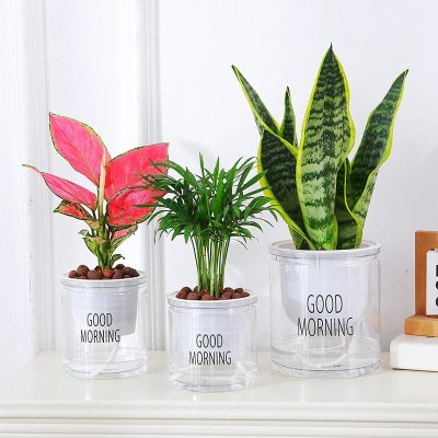 Plastic Pot 3 28 400x400
