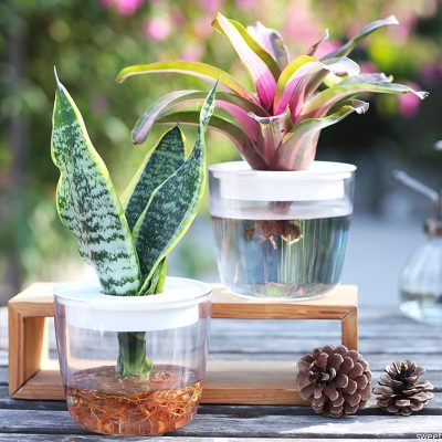 Plastic Pot 3 9 400x400