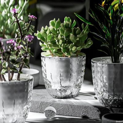 Plastic Pot 4 11 400x400
