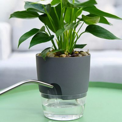 Plastic Pot 4 12 400x400