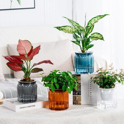 Plastic Pot 4 17 400x400