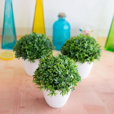 Plastic Pot 4 26 400x400