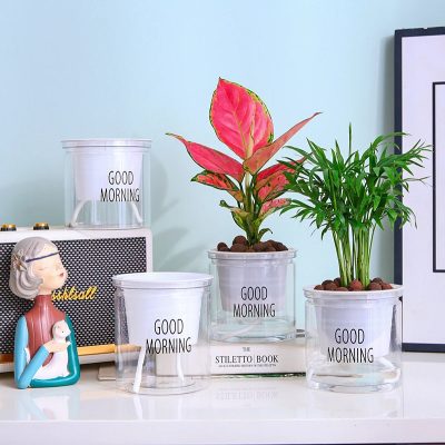 Plastic Pot 4 28 400x400